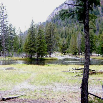 Trout Slideshow
