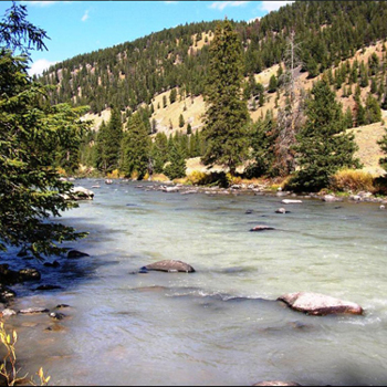 Trout Slideshow