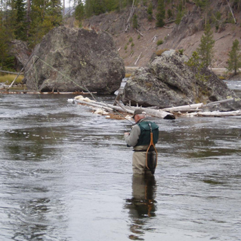 Trout Slideshow