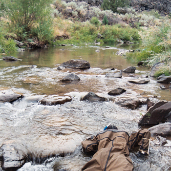Trout Slideshow