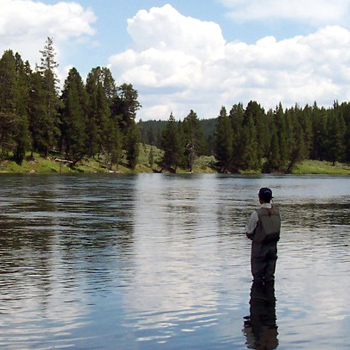 Trout Slideshow