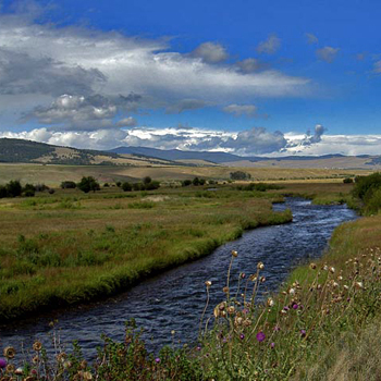 Trout Slideshow