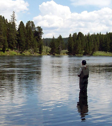 Yellowstone Fishing